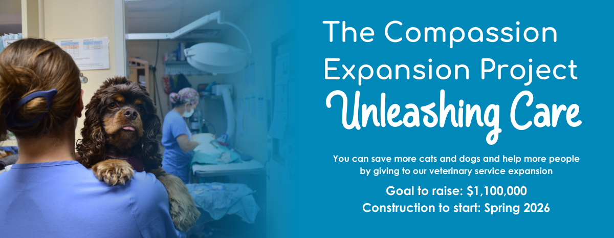 The Compassion Expansion Project: Unleashing Care